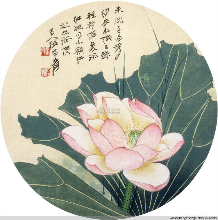张大千 荷花作品欣赏 - wangchangzhengb - wangchangzhengb的博客