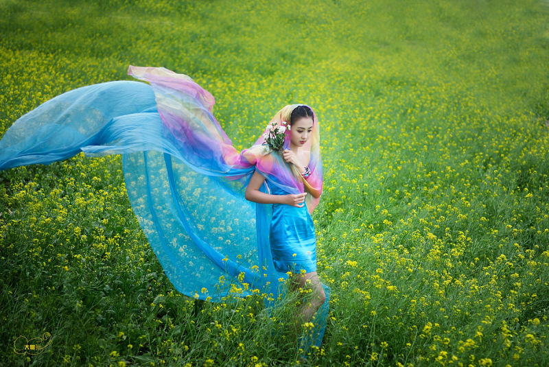 《春姑娘》【油菜花仙子】 - 魅影沉香 - .