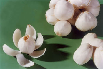 [转载]解开女人不老用药的秘密鈥斺斖嘉牟⒚