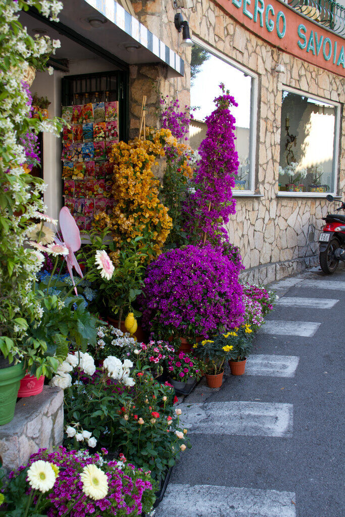 【引用】амальфитанской波西塔诺-度假胜地里维埃拉的风 - 秋林红叶 - 