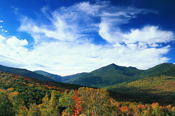 小风景 - 彼岸桃花 - .