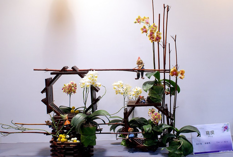 台湾国际兰展欣赏 - 弇山 - 弇山