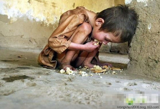 揭秘中国农民真正贫困的原因—— - 一统江山 - 一统江山的博客