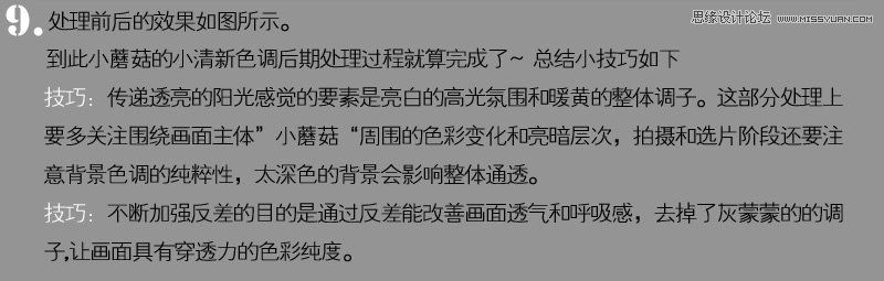 Photoshop调出风景照片唯美的暖色效果