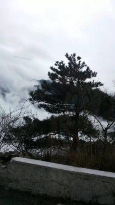 仙人洞-庐山-M108636229