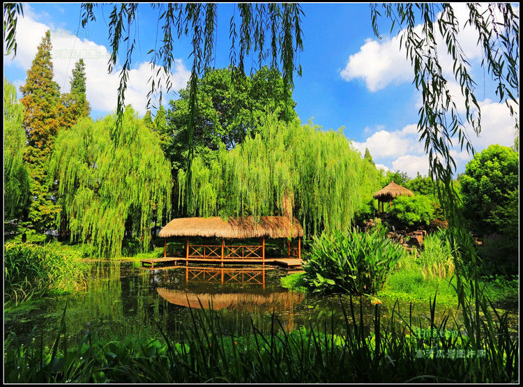 杭州湾风光 - 飞春 - 飞春博客