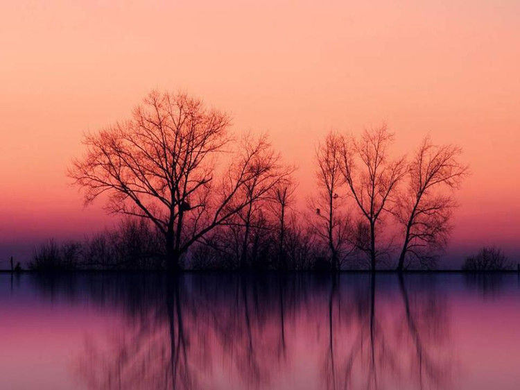 与您同赏——最美不过夕阳红（夕阳照拍得真棒！） - 小荷 - 小荷的博客