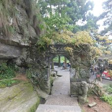 仙人洞-庐山-大管516