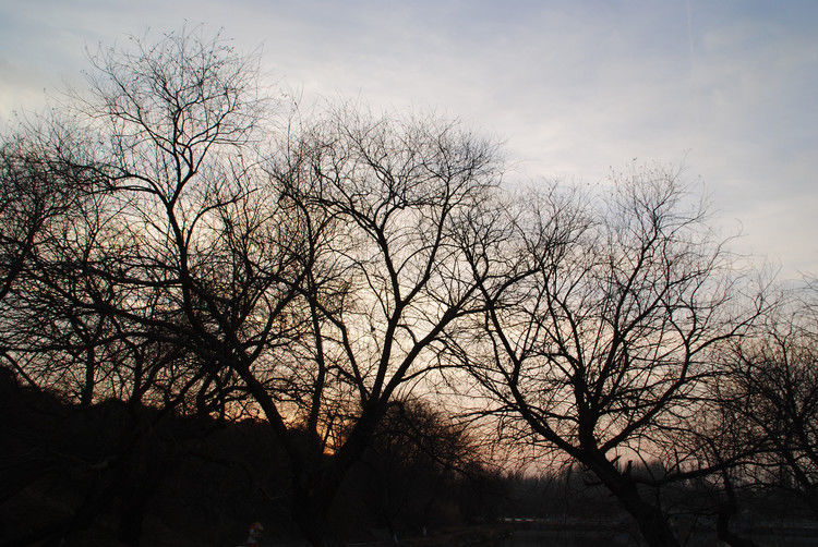 鄯善 - JOJO - JOJO带你游世界