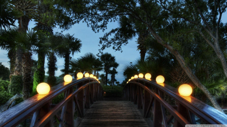 中外桥梁  美景大全 