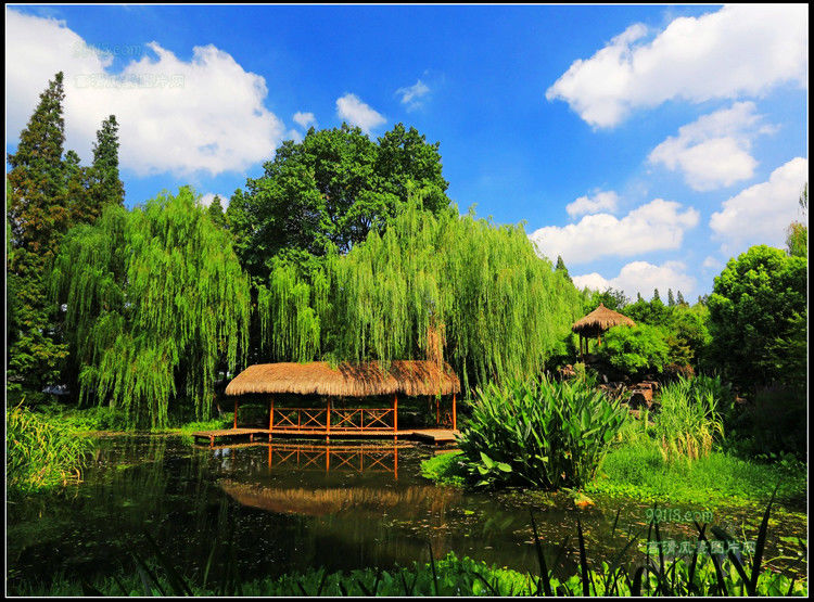 杭州湾风光 - 飞春 - 飞春博客