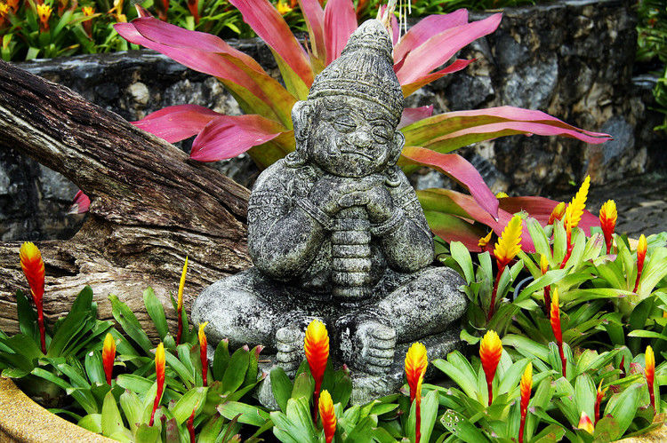 【引用】нуч花园轩弄。泰国 - 枫林傲然 -                  .