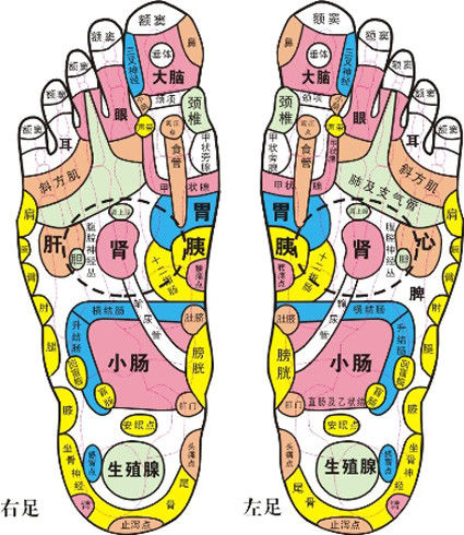 每天拉耳 壮阳奇效 - 缘水禅心 - 