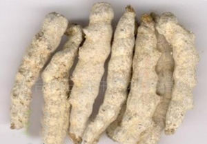 [转载]解开女人不老用药的秘密鈥斺斖嘉牟⒚