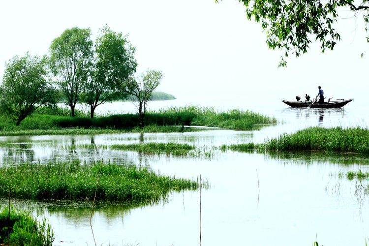 美丽的春天图片大全