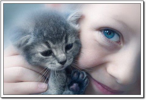 周末要轻松！【幽默图片50P】 - 無為居士 - 聚美齋