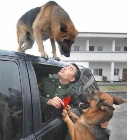 身为中国人，这30件事情你必须知