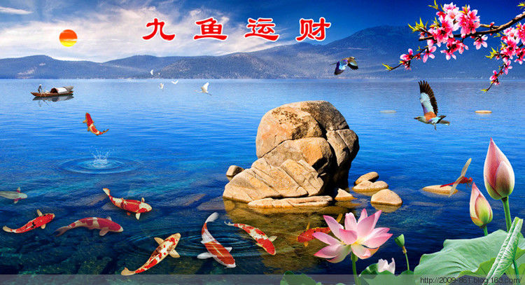 吉祥富贵“九鱼图“99幅，太漂亮了 - 宝贝梦 - 分享美丽·分享快乐·品味人生