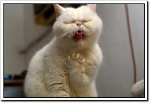 周末要轻松！【幽默图片50P】 - 無為居士 - 聚美齋