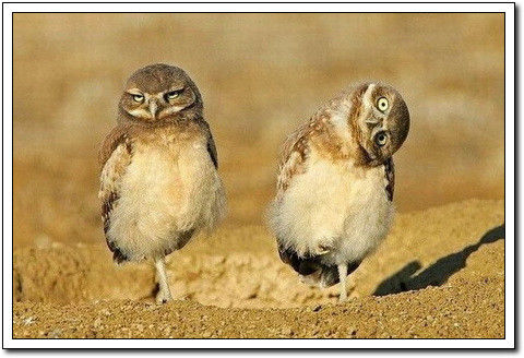 周末要轻松！【幽默图片50P】 - 無為居士 - 聚美齋