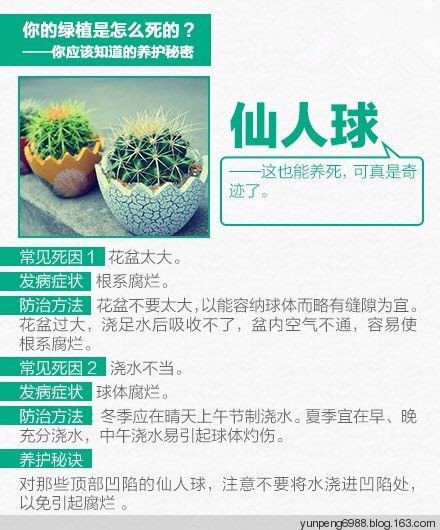 9张图告诉你，为什么你总把花养死【图文】 - 云鹏润峰 - 云鹏潤峰