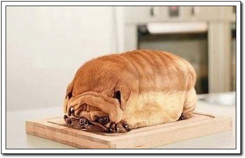 周末要轻松！【幽默图片50P】 - 無為居士 - 聚美齋