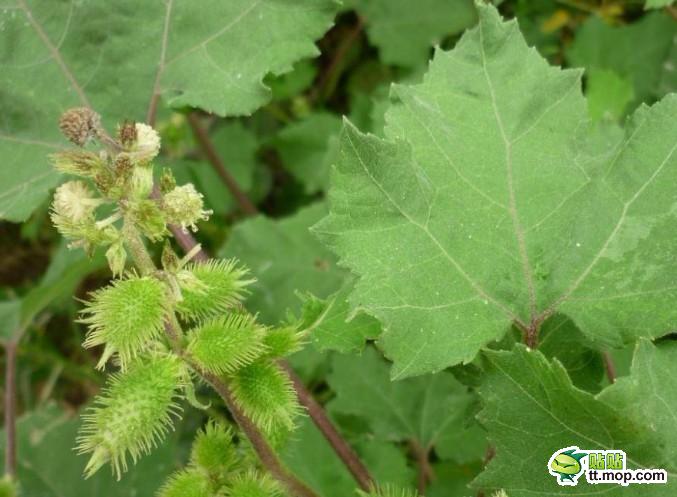 那些只属于出生在农村的80后记忆1339754946061