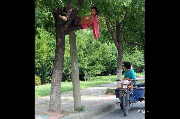 世界上牛人真多，真比不了！ - 台湾白酒88坑道 - 论樽酒行--台湾名酒