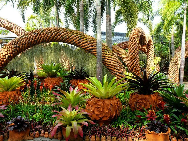 【引用】нуч花园轩弄。泰国 - 枫林傲然 -                  .