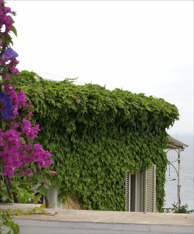 【引用】амальфитанской波西塔诺-度假胜地里维埃拉的风 - 秋林红叶 - 