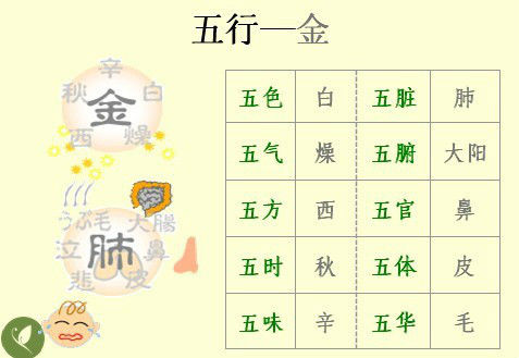 五行经络图加实作，值得收藏！ - 吝色鬼 - 吝色鬼 的博客