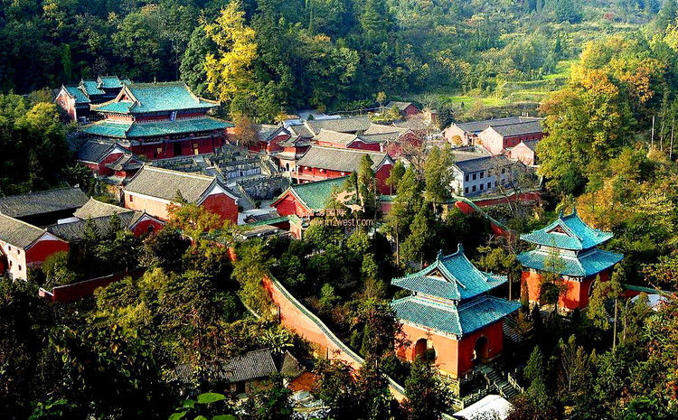 点击打开组图详情