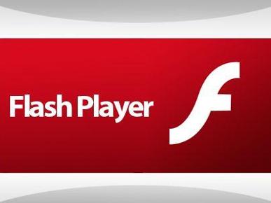 Flash Player 11 2 202 235 IE