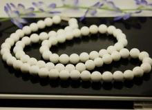 砗磲（海洋动物） - 搜狗百科