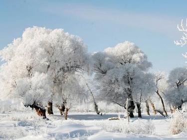 2015大雪节气是几月几号