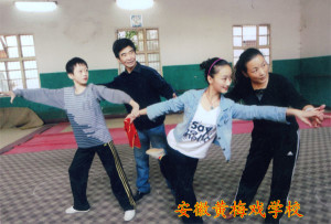 安徽黄梅戏艺术职业学院的图册