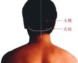 玉枕的准确位置图 搜狗百科