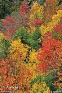 凯霍加谷国家公园的图册