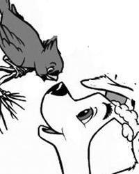 狗和麻雀的摘要图