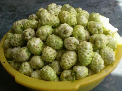 诺丽果怎么吃 搜狗百科