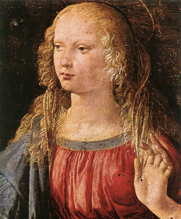 转西方绘画大师17雷奥纳多达芬奇leonardodavinci14521519年意大利