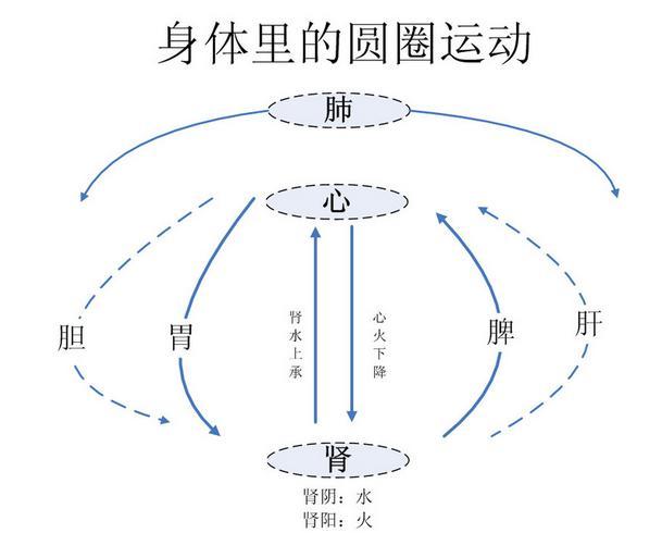 黄元御的圆圈论中各脏腑升降不力的症状