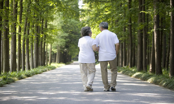 可食用的螺旋藻-直销家园网