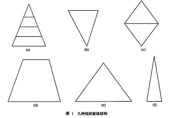 几种组织能级结构