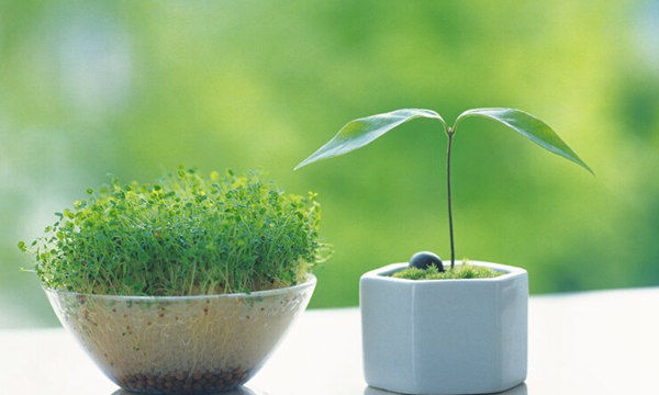 2015年08月12日 - 网商恩惠 - 网商恩惠的博客