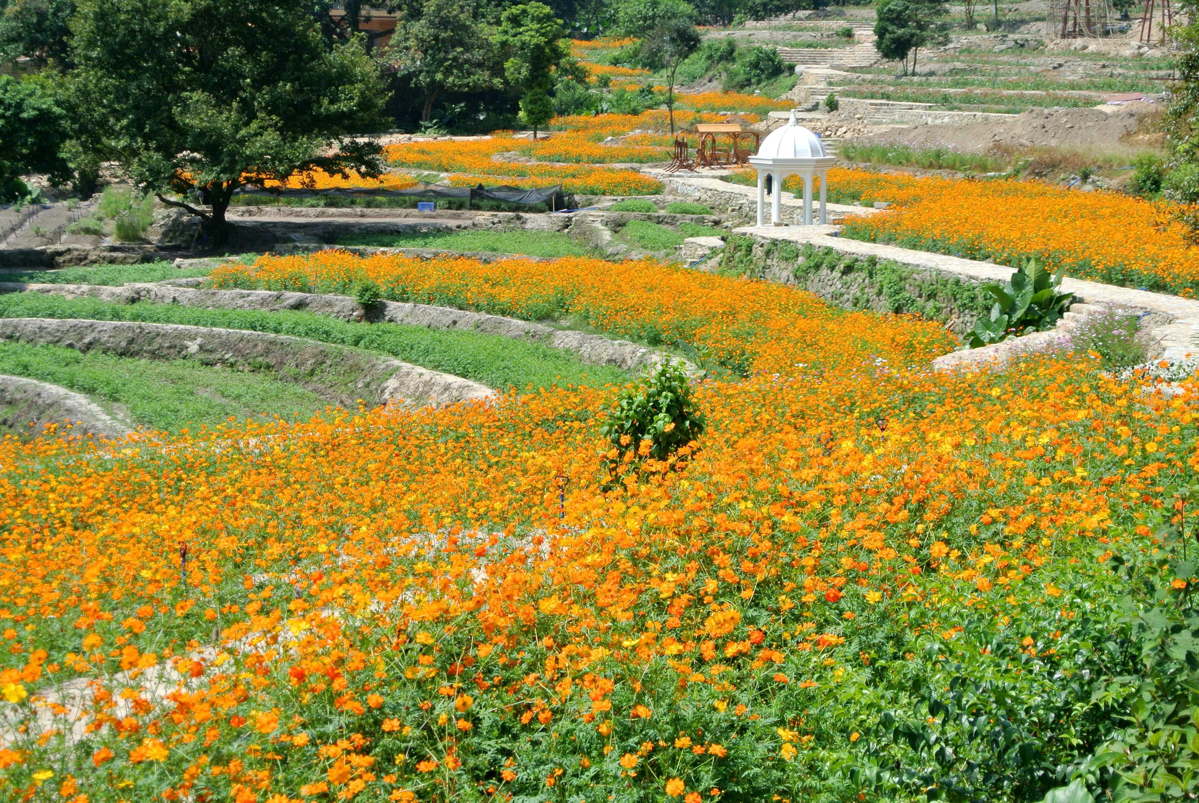 广州市二龙山国际生态园